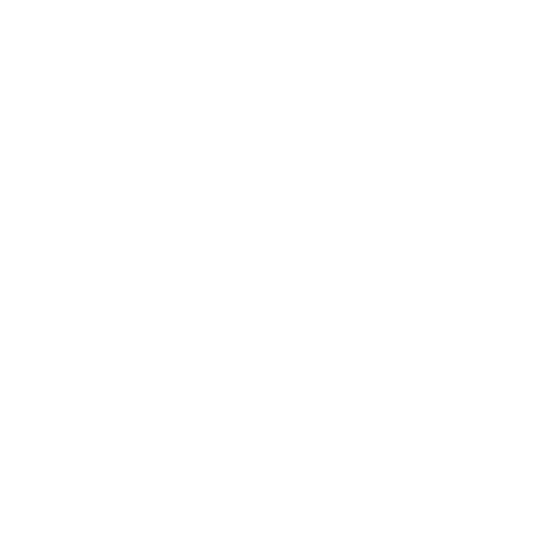 SN Development & Services